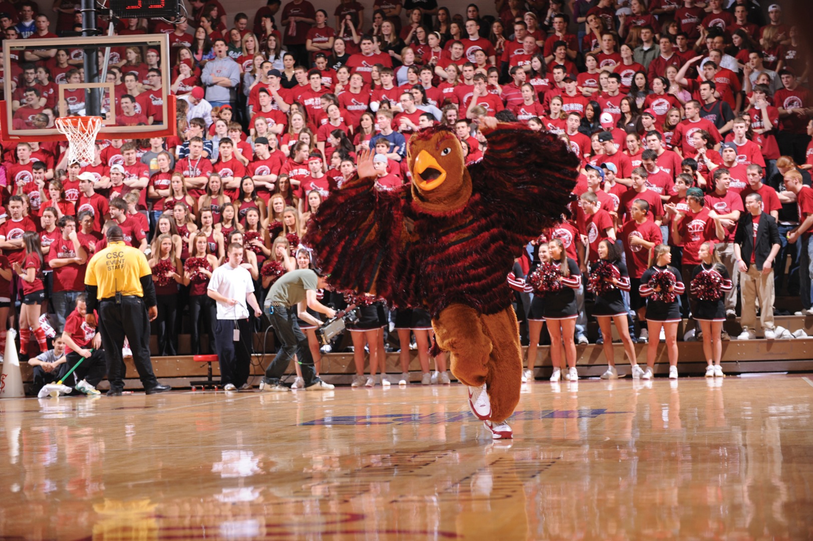 c381beb8672f3c9ca6a45b94a6a4ccd3